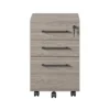 Parkside Mobile File Cabinet Light Brown - Ameriwood Home -Smart Office Sets GUEST 2e02a959 0fb6 442e 8ec8 d87345a76dc8