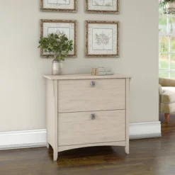 Salinas 2 Drawers File Cabinet In Antique White - Bush Furniture