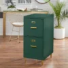 Dixie 2 Drawer Cabinet Green - Buylateral -Smart Office Sets GUEST cffd6f1a 3821 433e a721 80becbab625e